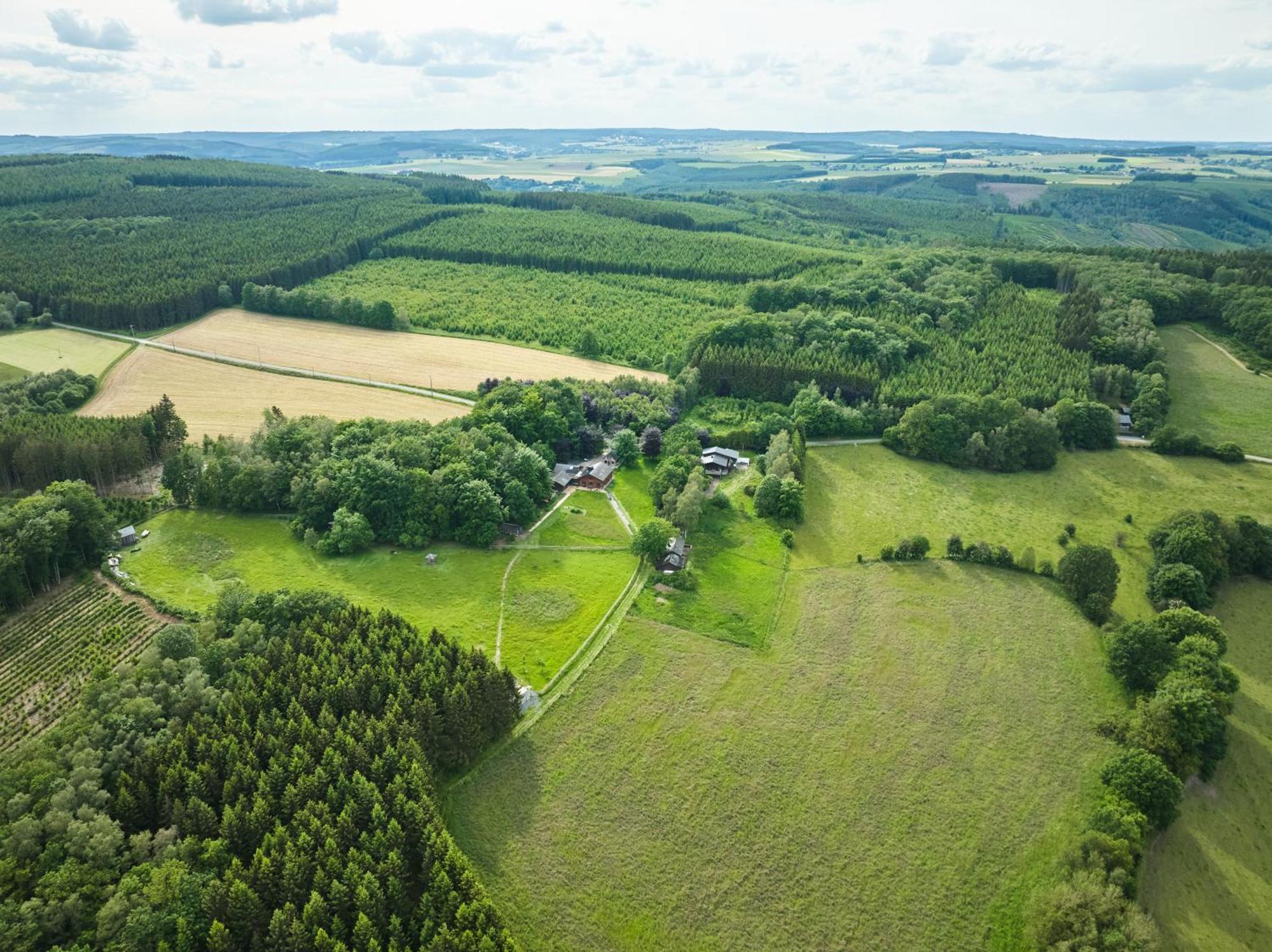 Chalet Le Tilleul Bertogne Екстер'єр фото